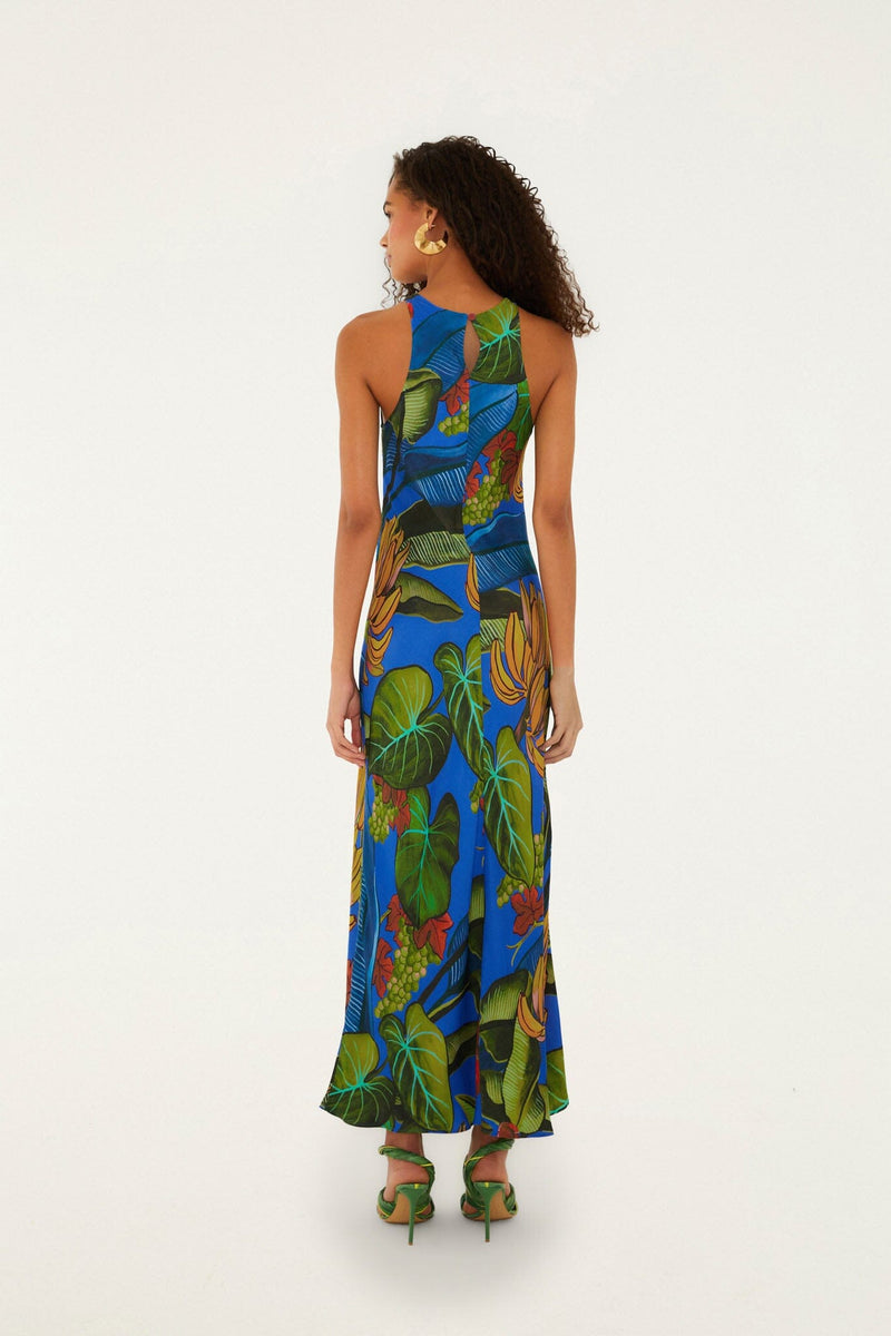 BANANA GRAPES BLUE SLEEVELESS MAXI DRESS  Teak and Ivy