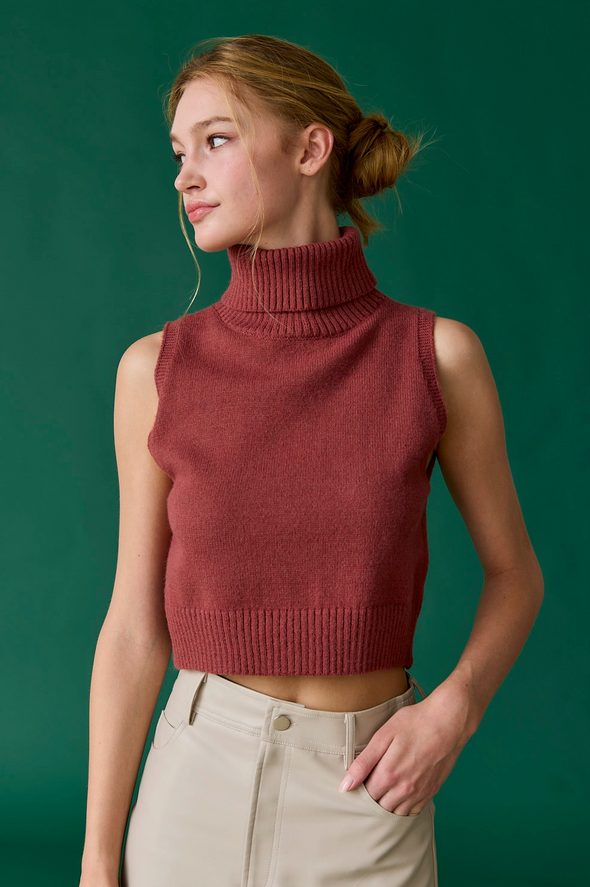 ALICE TURTLE NECK KNIT TOP