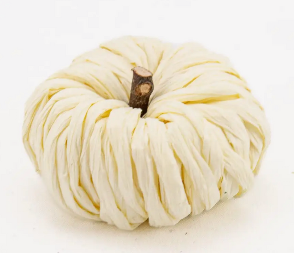 PETITE PUMPKIN  3"